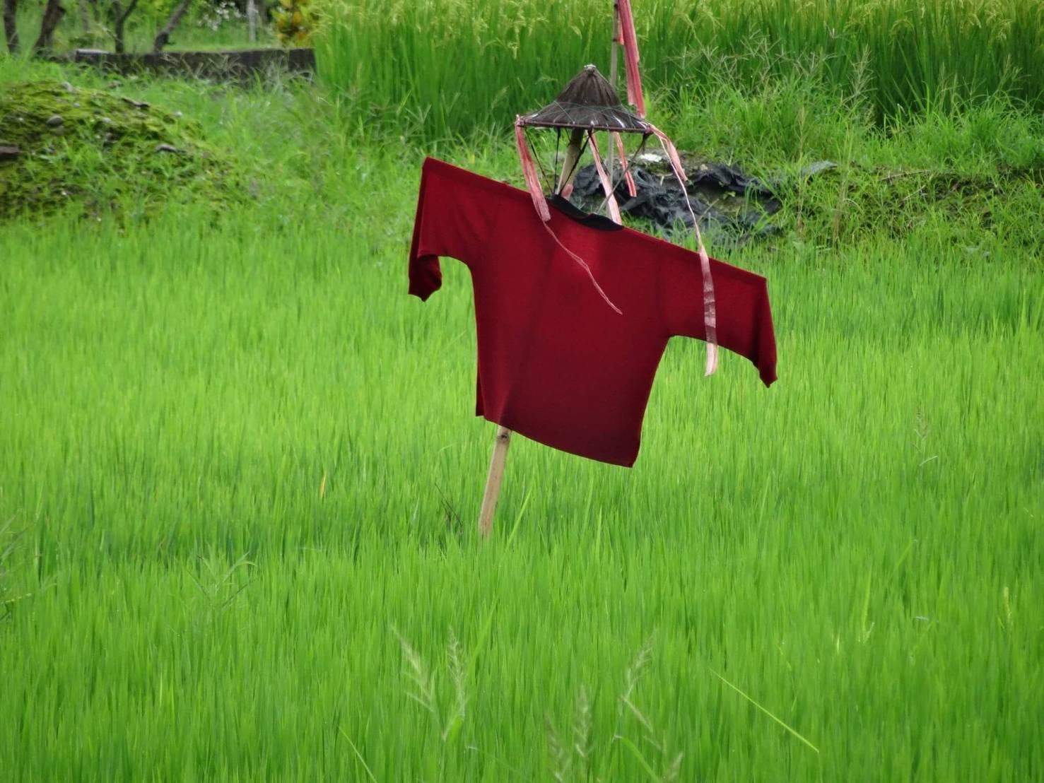 農村限定-稻草人