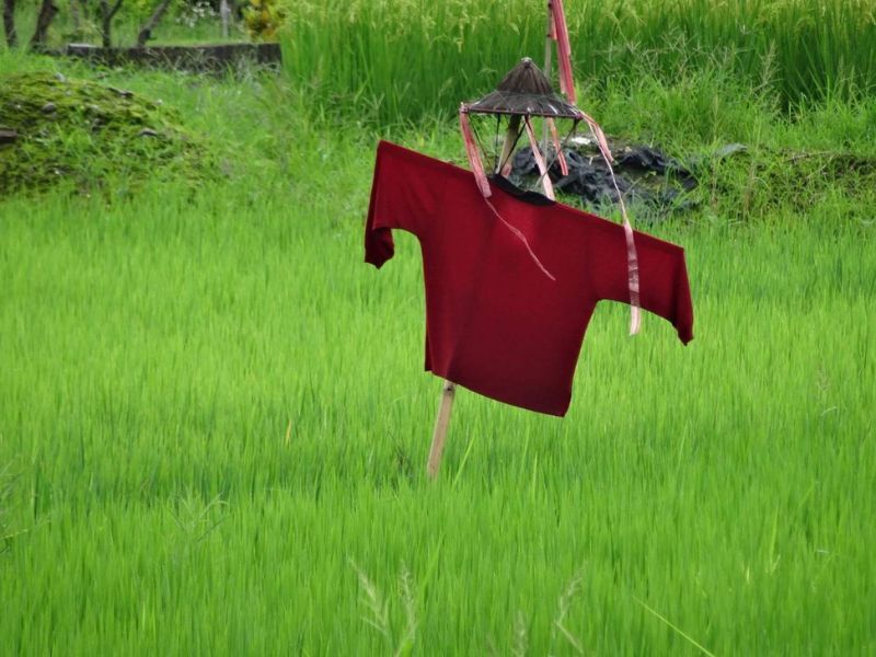 農村限定-稻草人